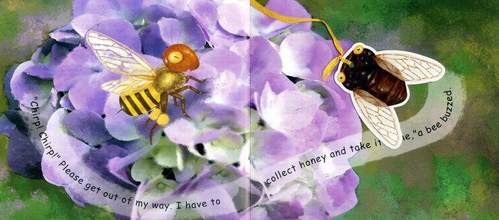 DY193 昆虫躲猫猫【全英文版】(6本彩色精装