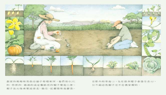 HY330 野地上的花园 - 168幼福童书网童书婴儿