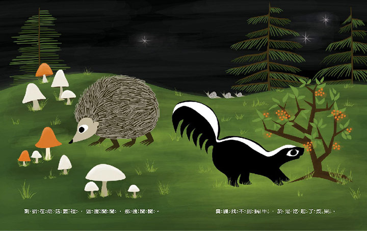 HY356 小猫头鹰的夜游