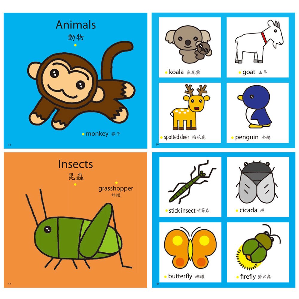 寶寶第一本學習書-幼兒圖典