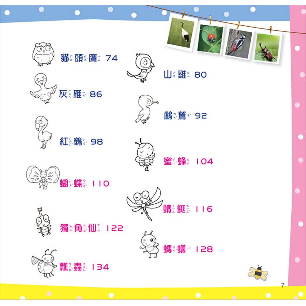最Q動物趣味百科：鳥類和昆蟲