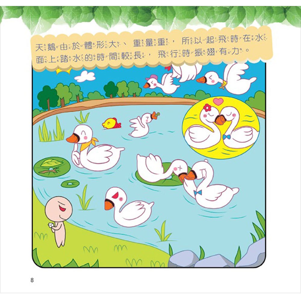 最Q動物趣味百科：鳥類和昆蟲