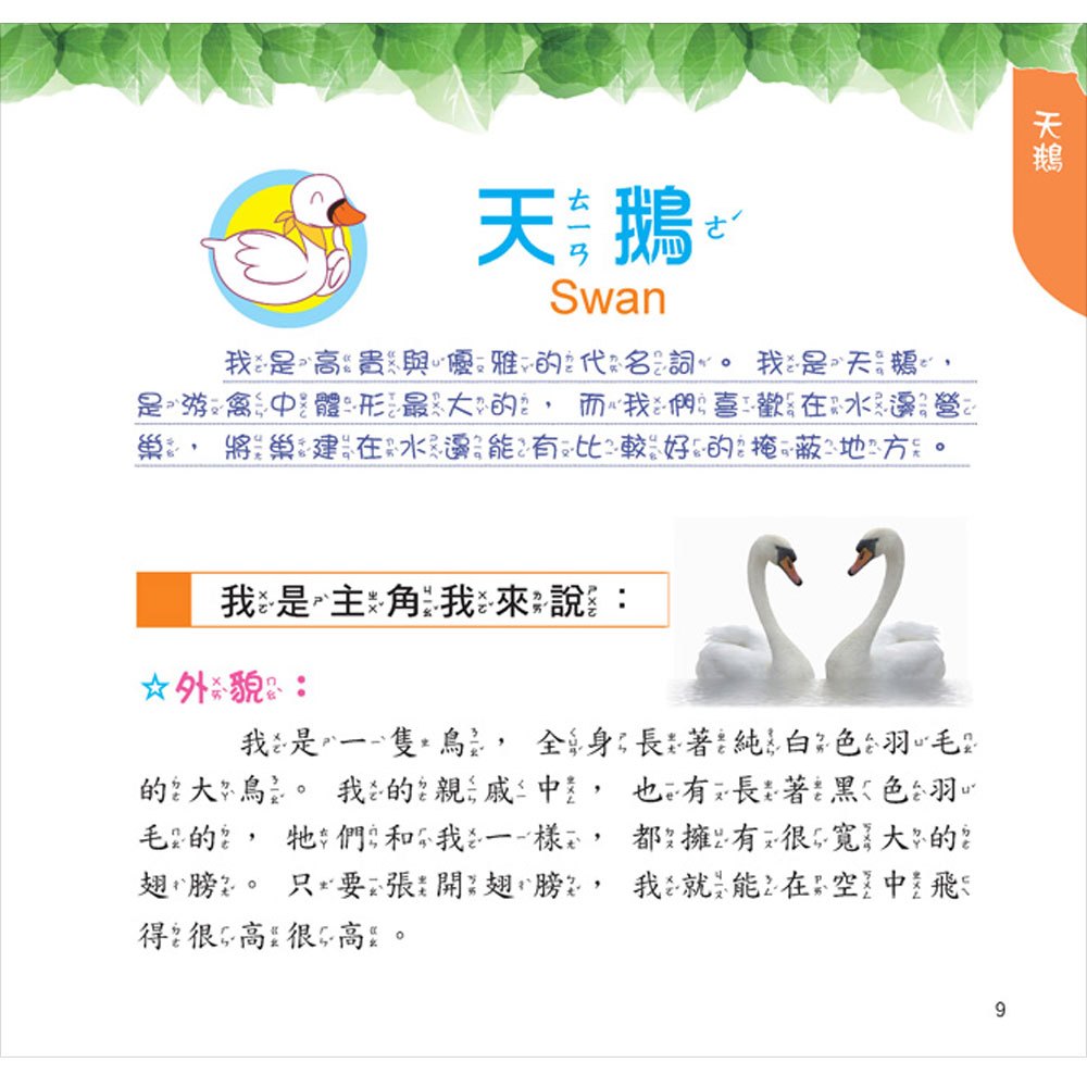 最Q動物趣味百科：鳥類和昆蟲