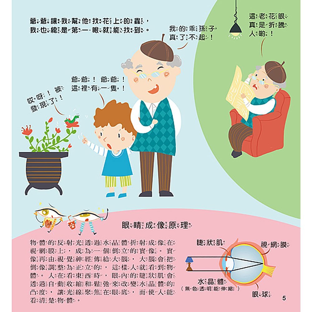 寶貝成長繪本B組