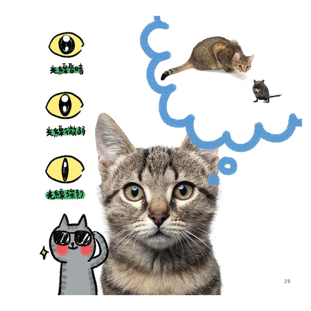 喵博士的十萬個為什麼《動物真神奇》