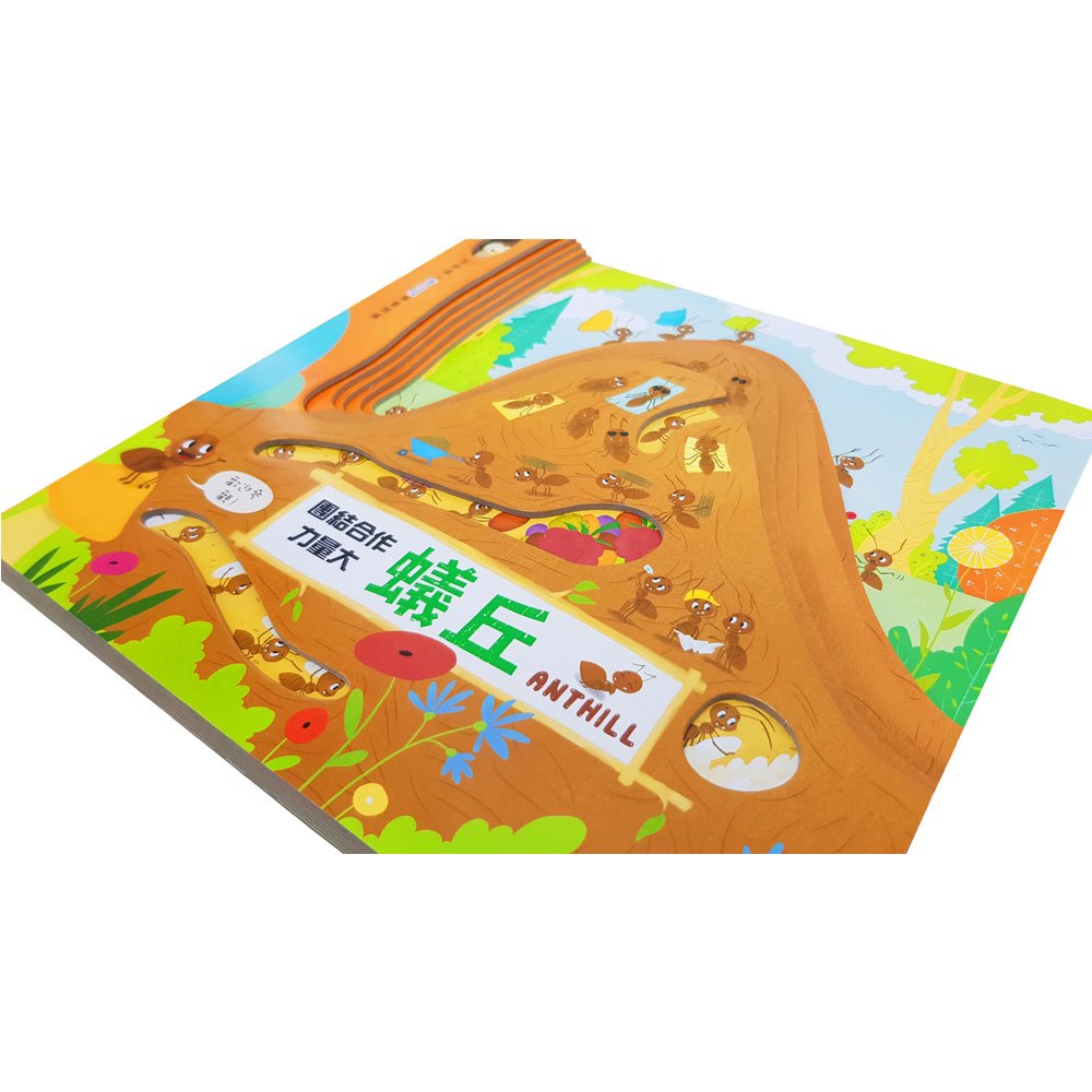 嗨！這是我的家：蟻丘【團結合作力量大】