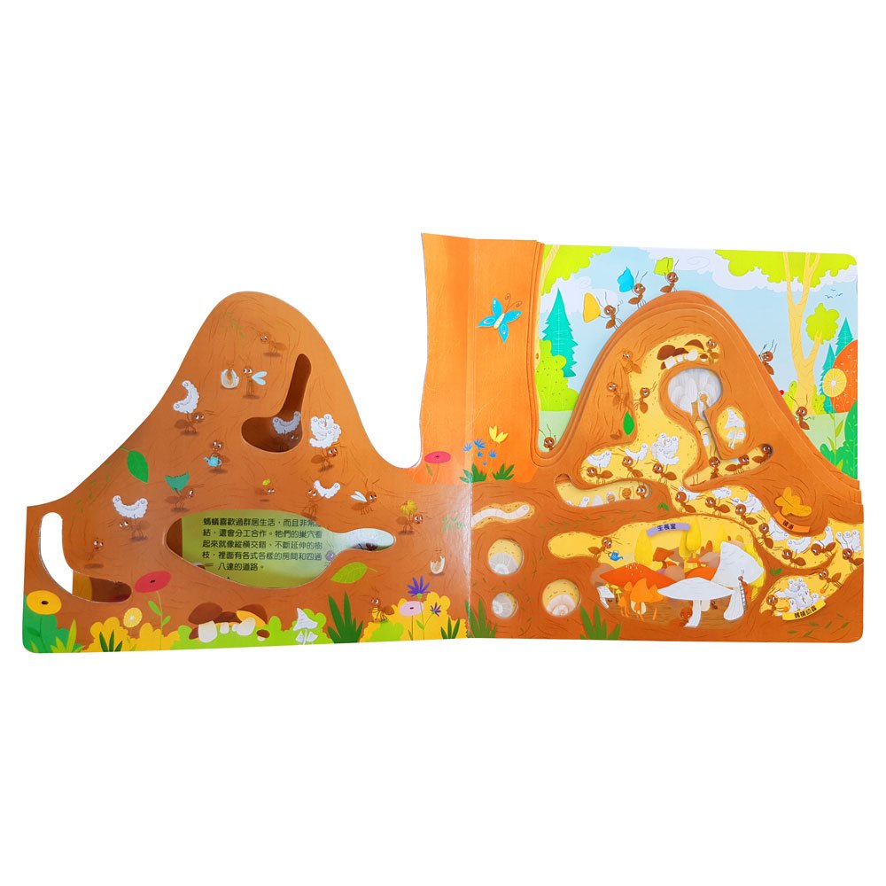 嗨！這是我的家：蟻丘【團結合作力量大】