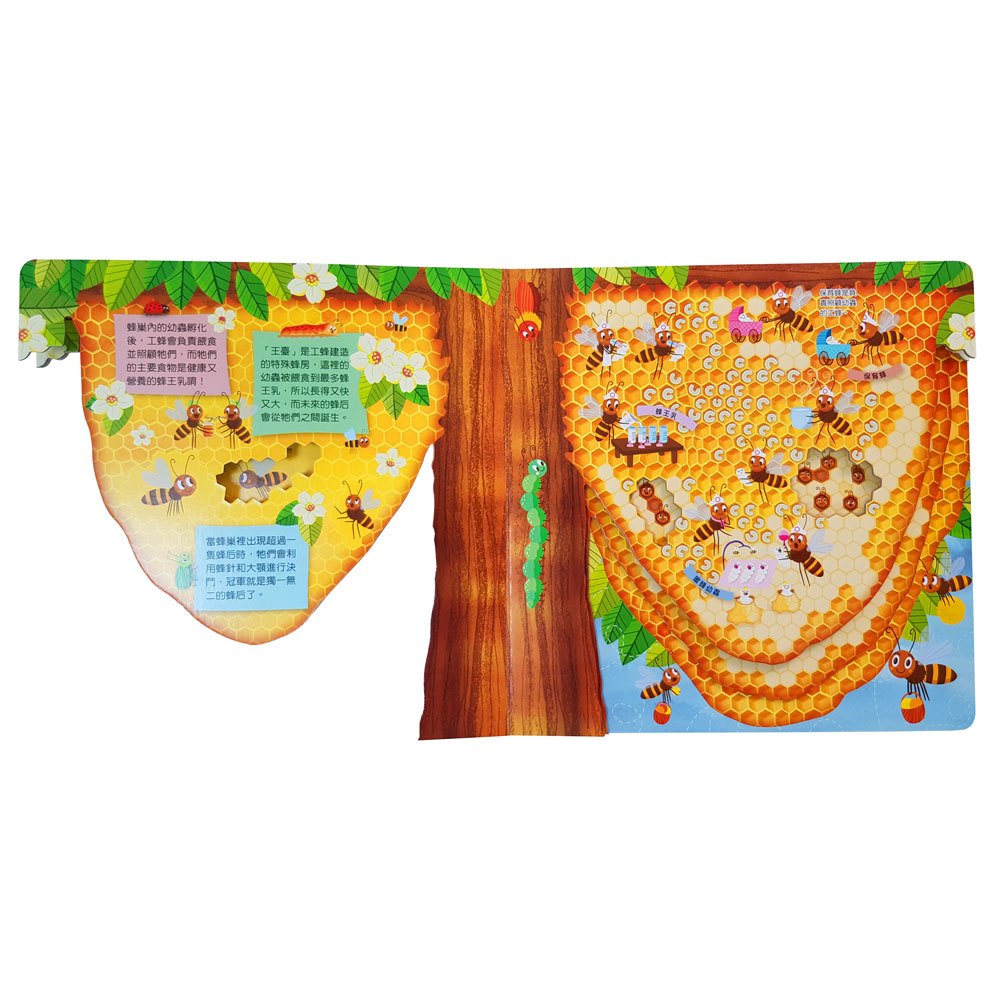 嗨！這是我的家：蜂巢【勤勞工作收穫多】