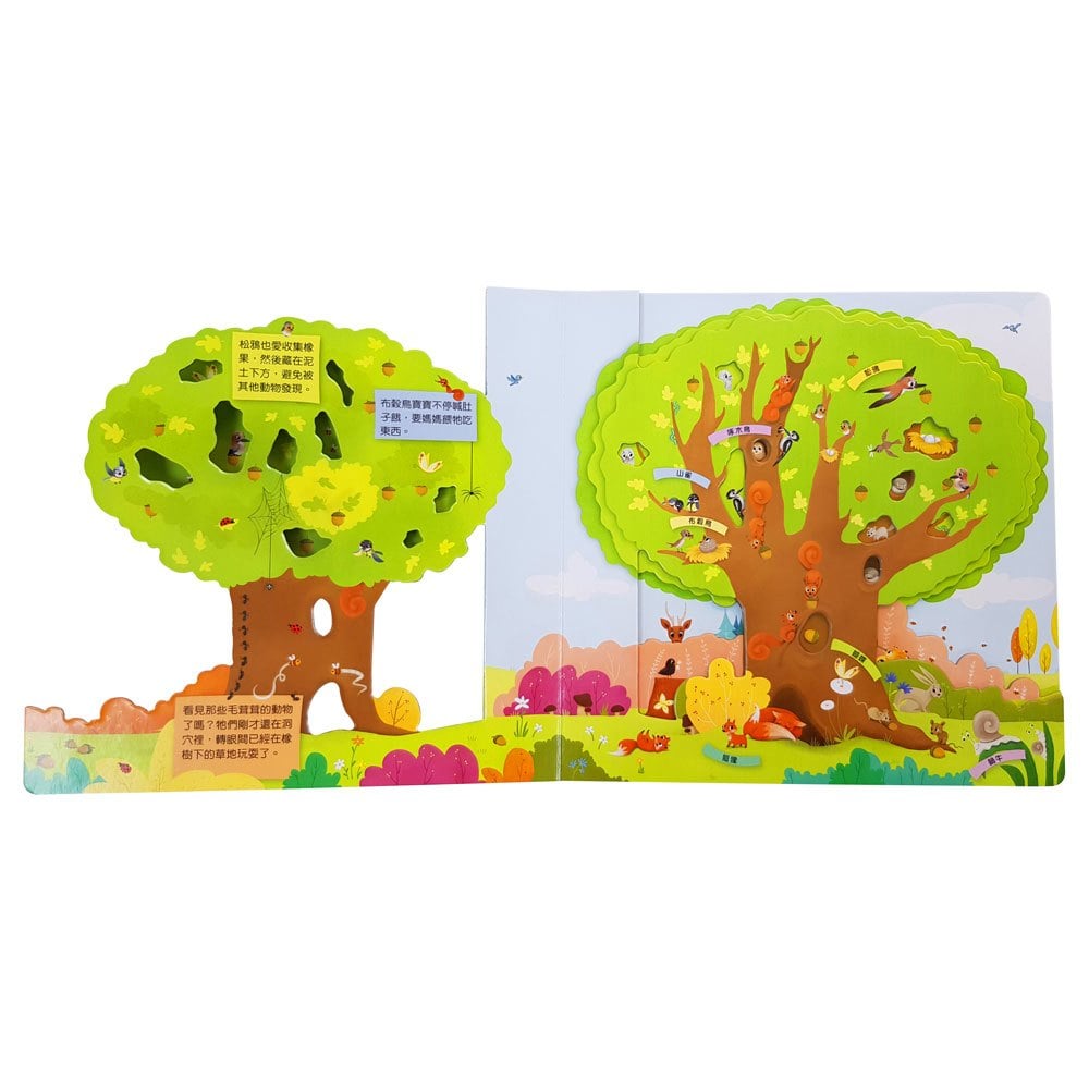 嗨！這是我的家：大樹【自然裡的神奇公寓】