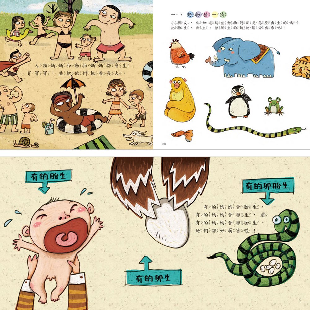 寶寶第一套科學繪本(6本彩色平裝書+6故事CD)