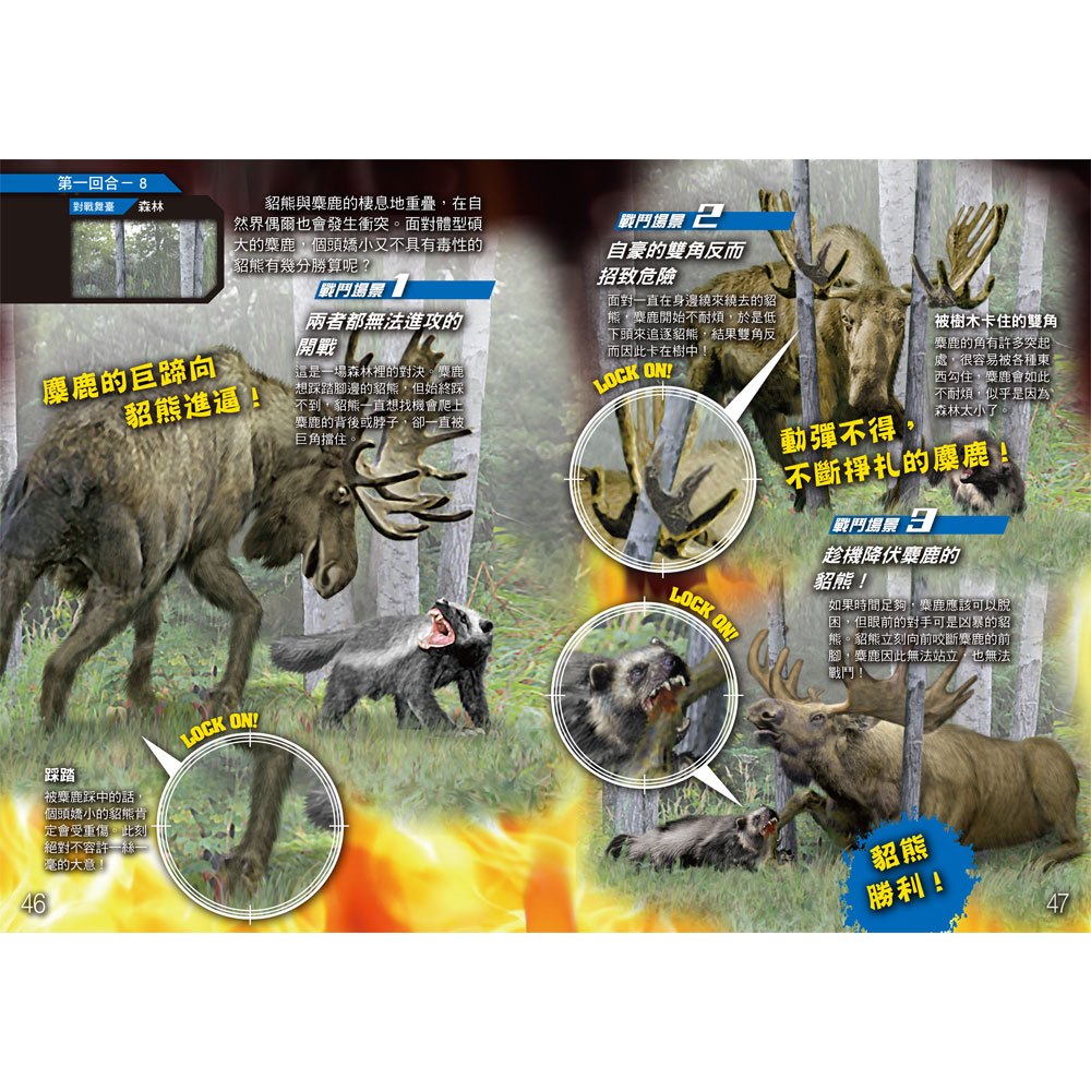 動物最強王圖鑑