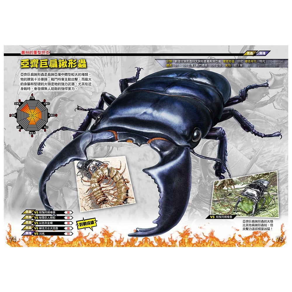 最強王強者歸來角色大圖鑑