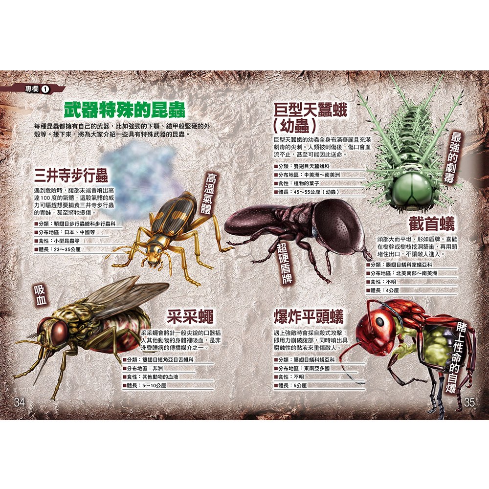 昆蟲最強王圖鑑