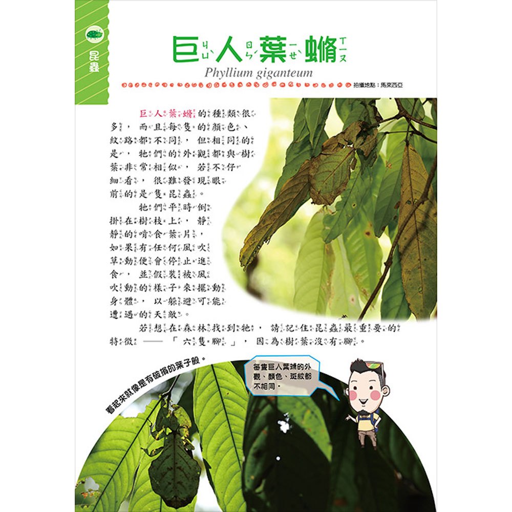 不可思議!讓你猜不透的生物偽裝術
