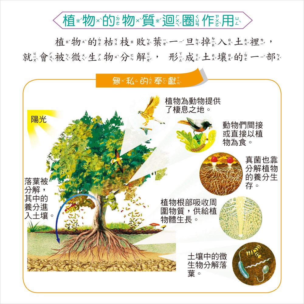 植物百科一本通【革新平裝版】