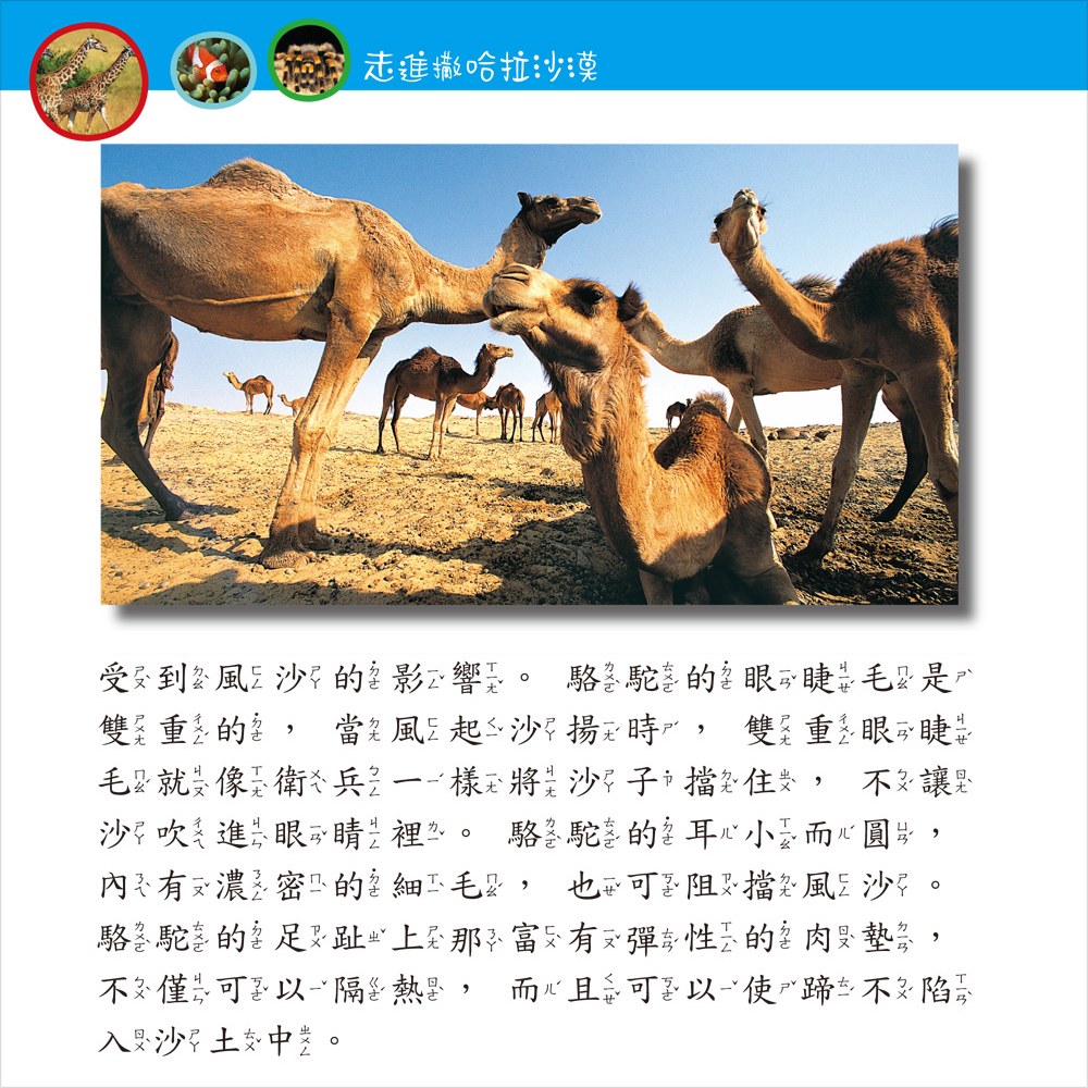 動物奧祕一本通【革新平裝版】