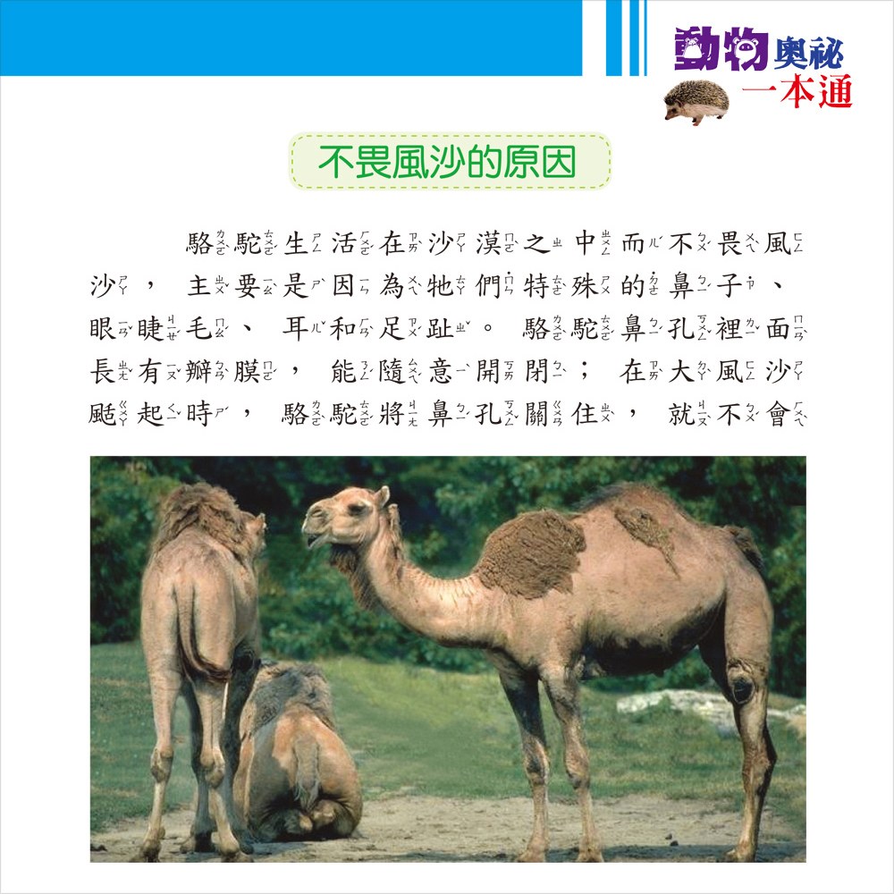 動物奧祕一本通【革新平裝版】