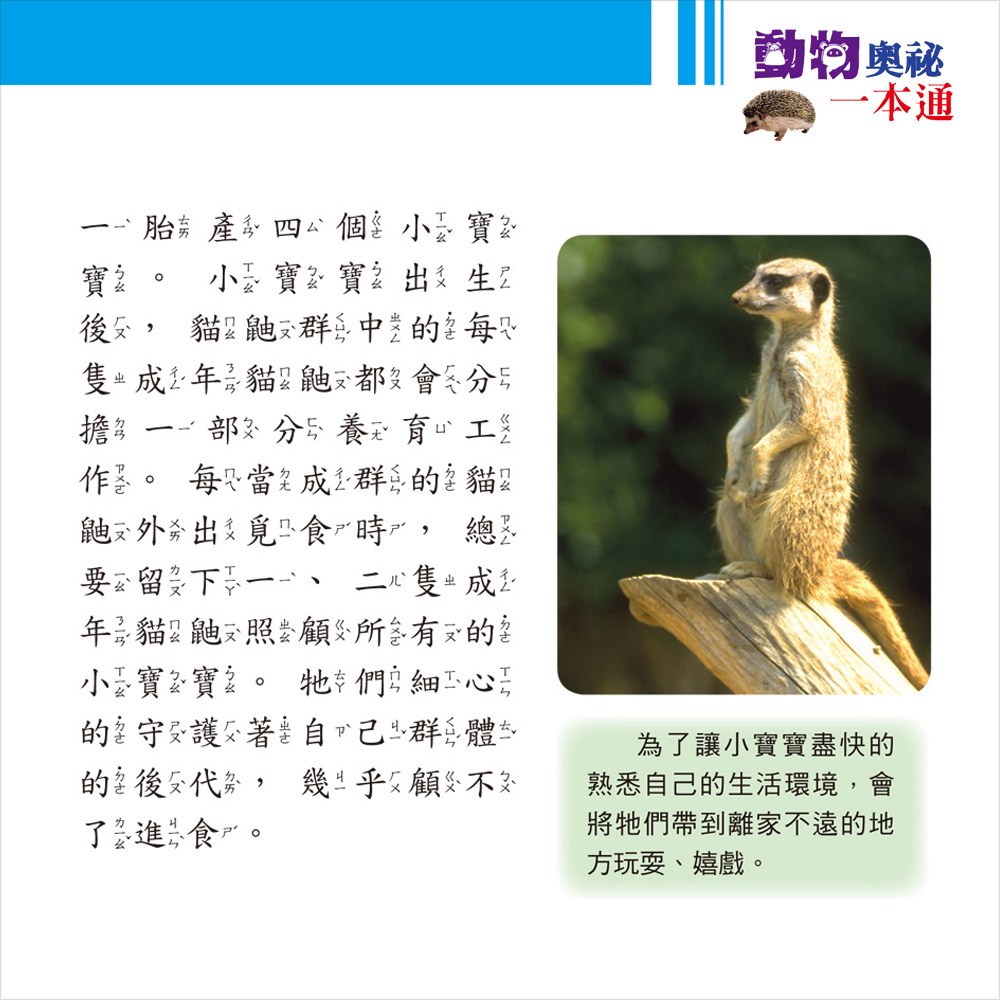 動物奧祕一本通【革新平裝版】