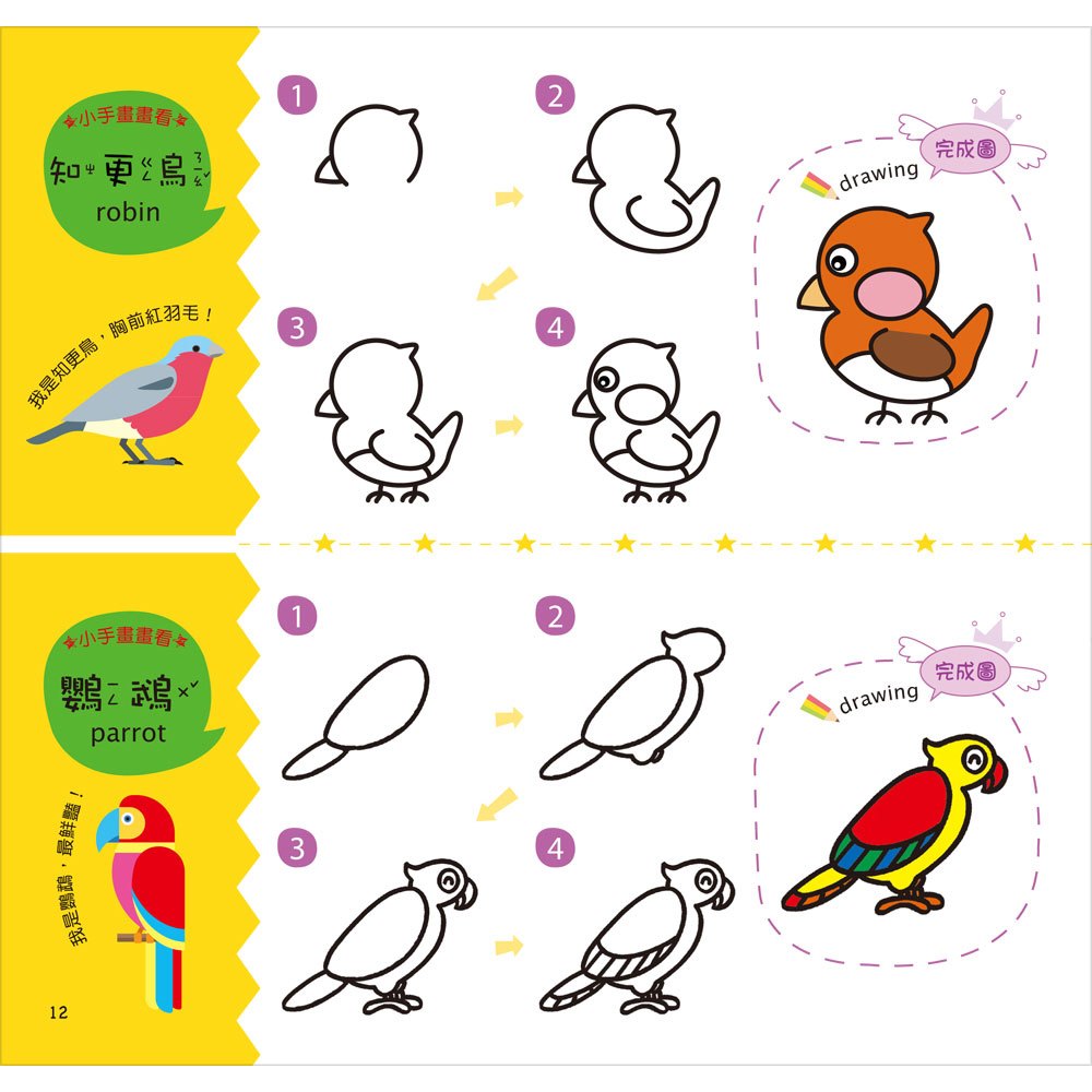 簡筆畫：創意塗鴉簡筆畫《酷炫鳥類》【附12色繽紛色鉛筆】