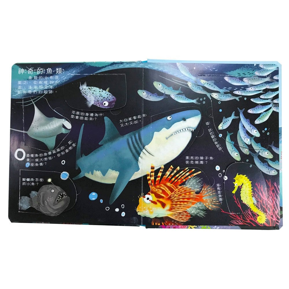 你問我答翻翻書大海藏著小祕密？