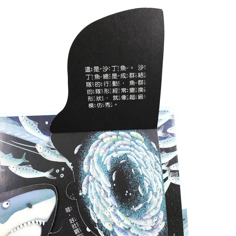 你問我答翻翻書大海藏著小祕密？