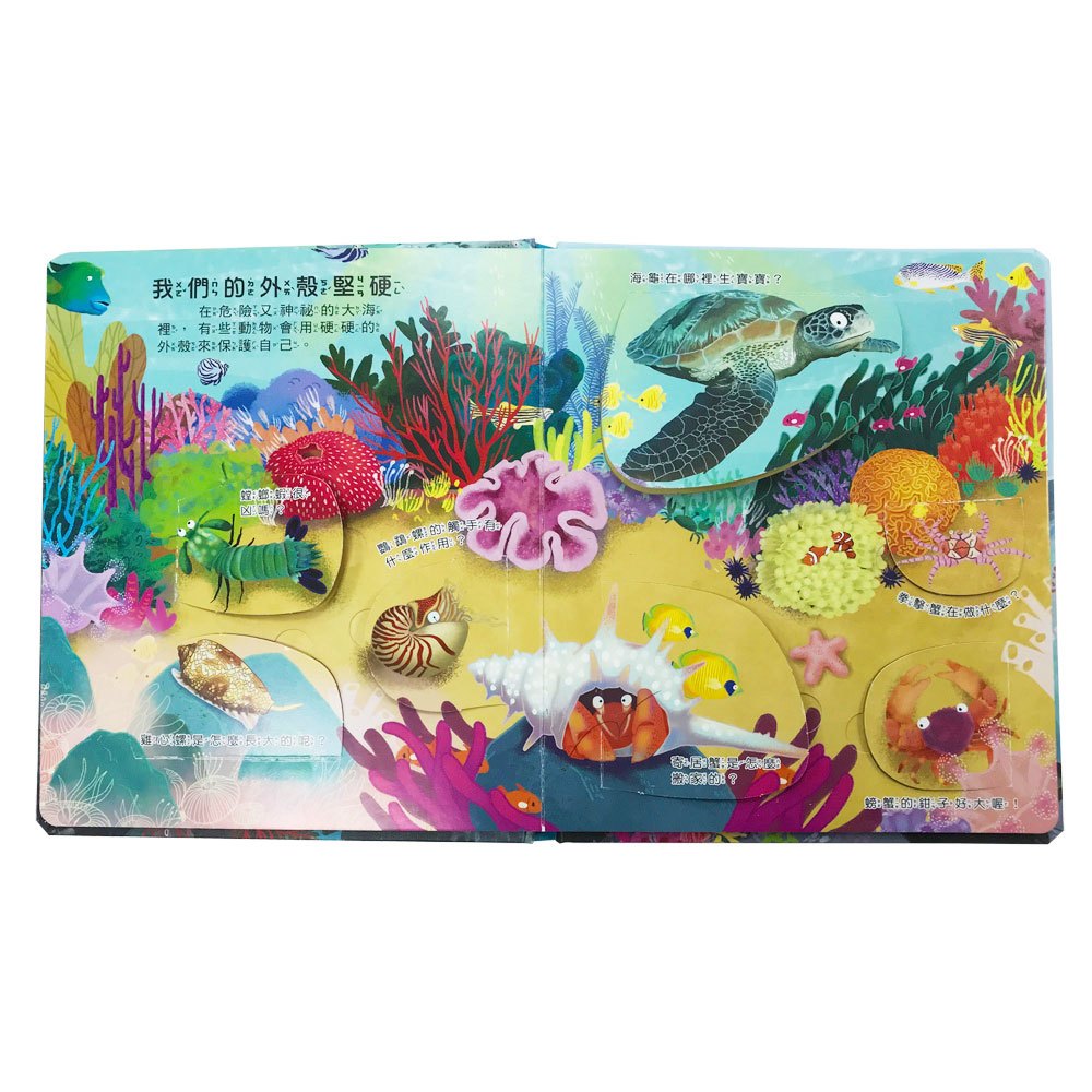 你問我答翻翻書大海藏著小祕密？