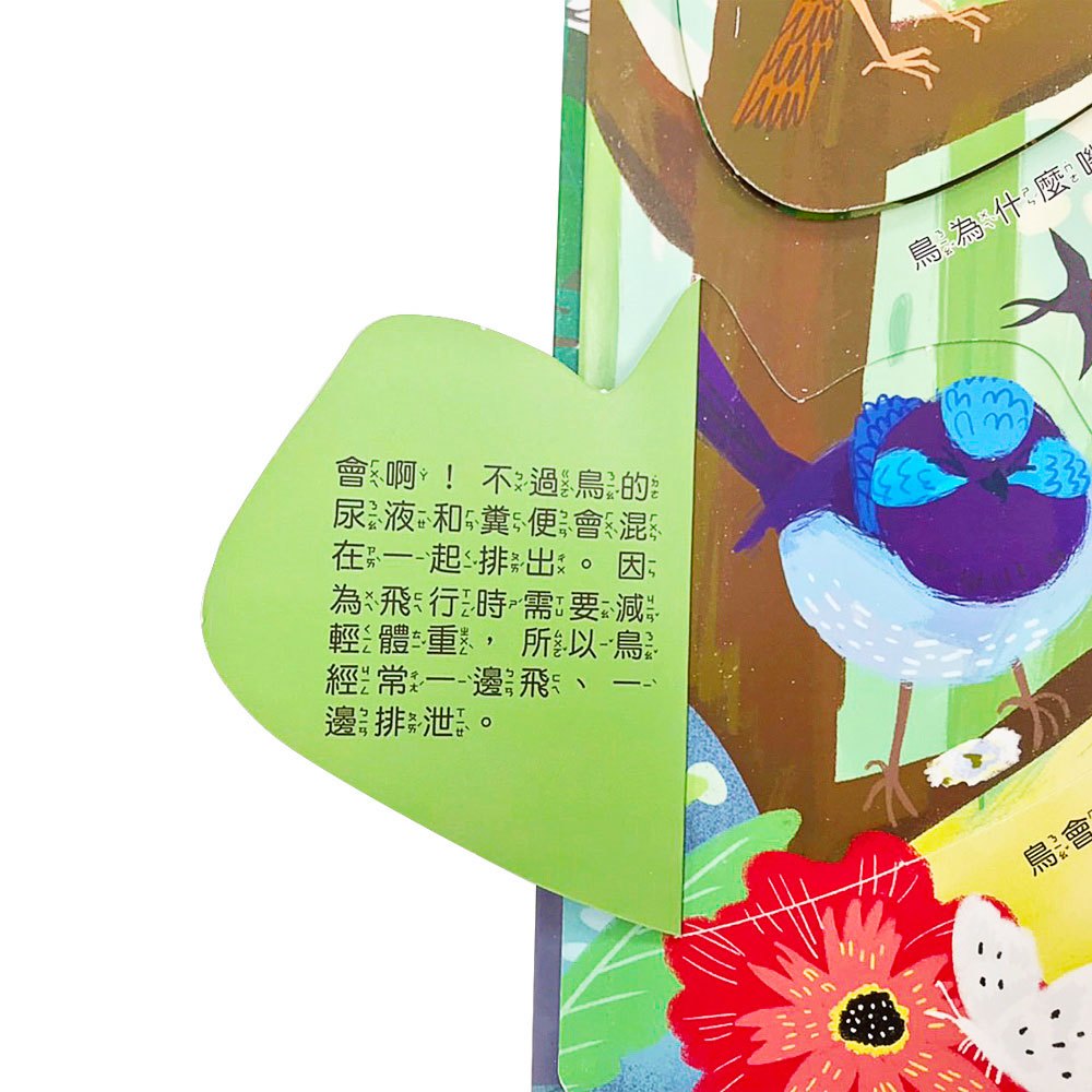 你問我答翻翻書鳥類擁有大絕技？