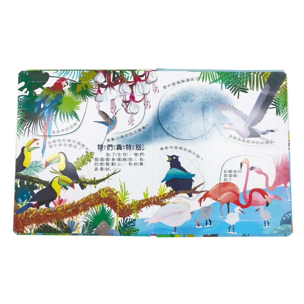 你問我答翻翻書鳥類擁有大絕技？
