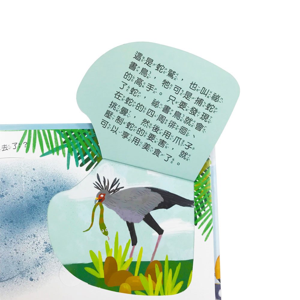 你問我答翻翻書鳥類擁有大絕技？
