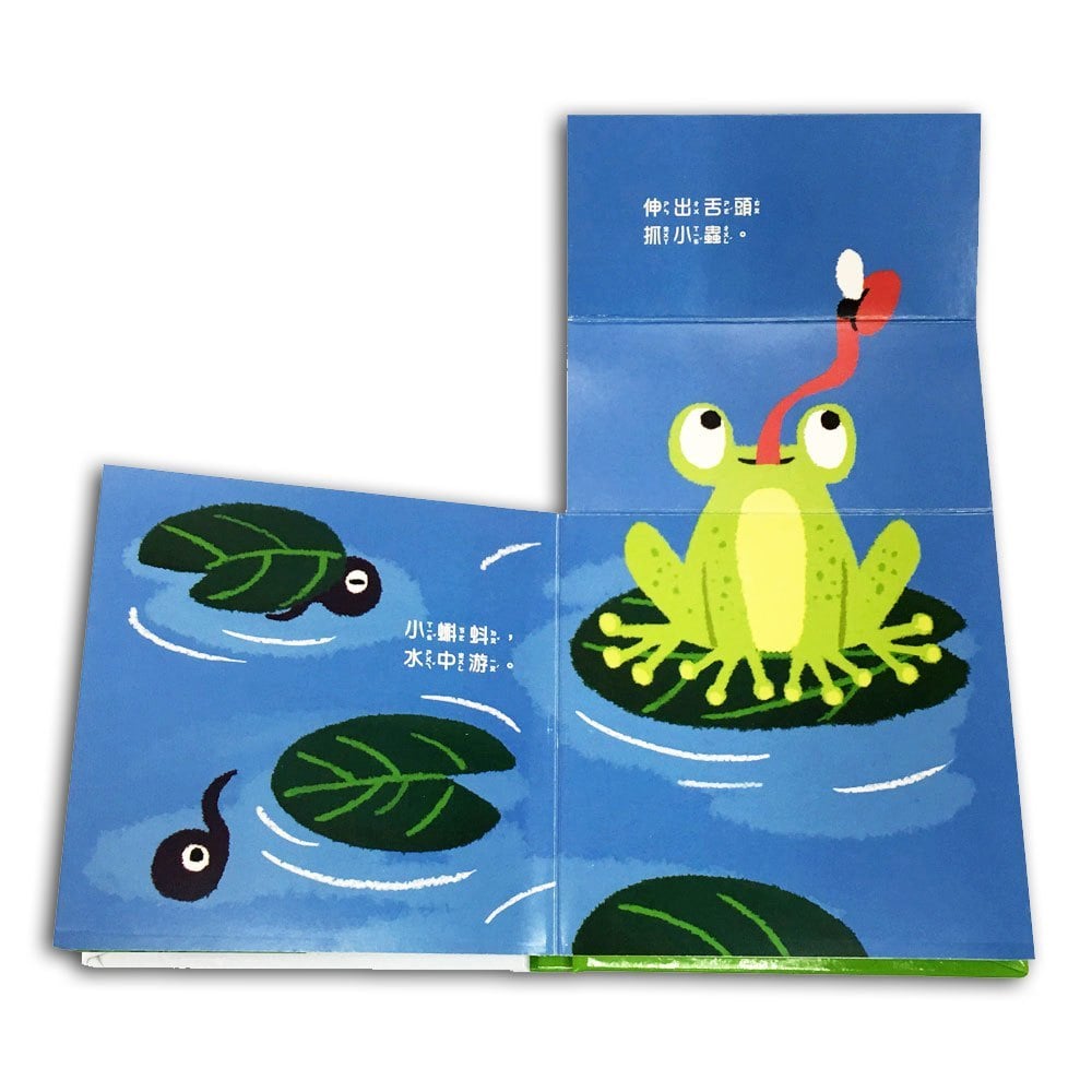 我是這樣長大的:蝌蚪游啊游【連連翻遊戲書】