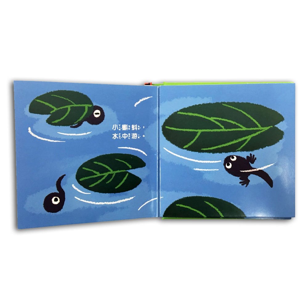我是這樣長大的:蝌蚪游啊游【連連翻遊戲書】