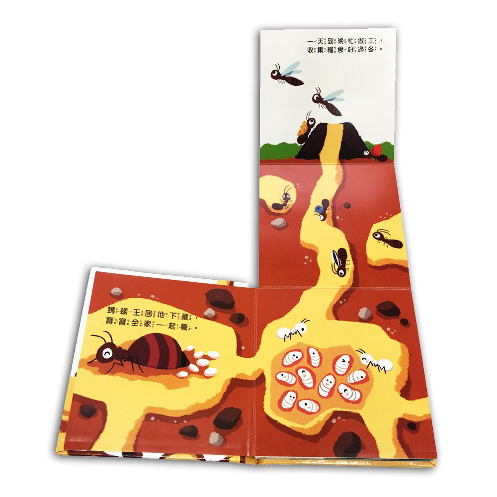 我是這樣長大的:螞蟻爬啊爬【連連翻遊戲書】