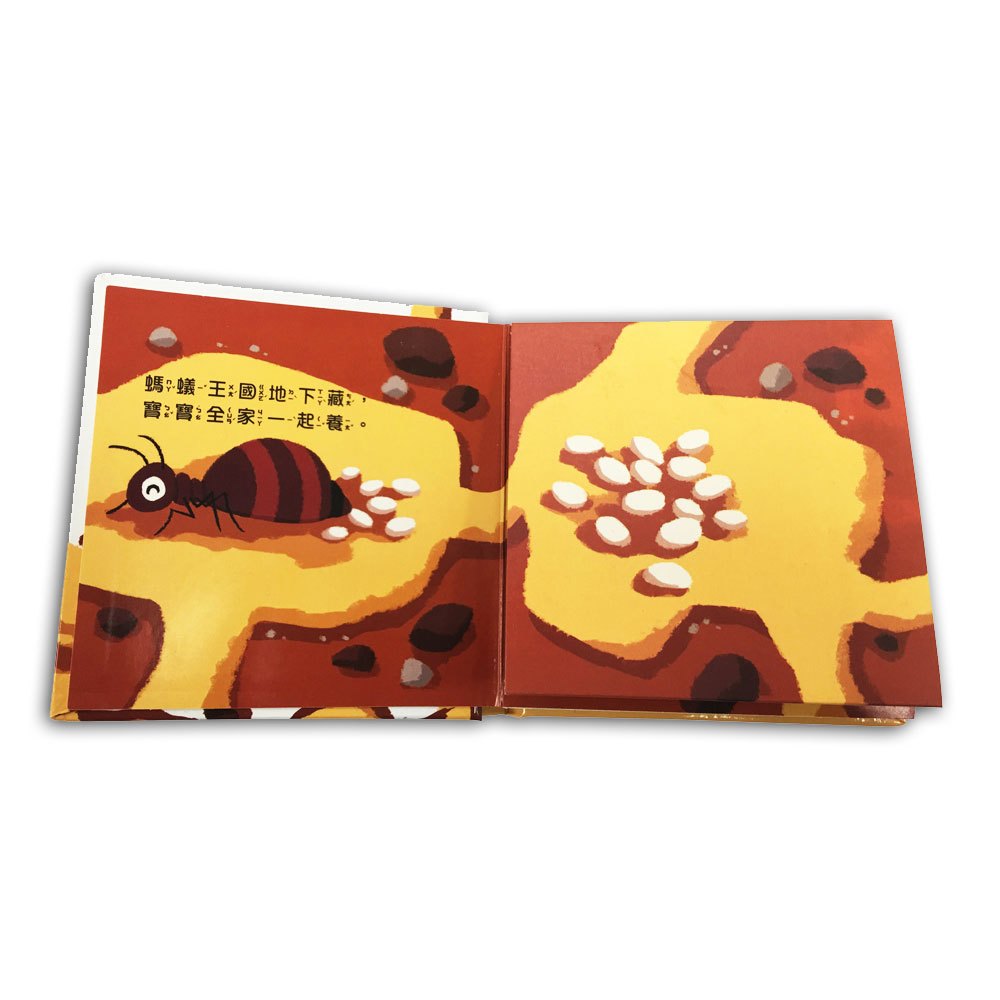 我是這樣長大的組合【連連翻遊戲書】