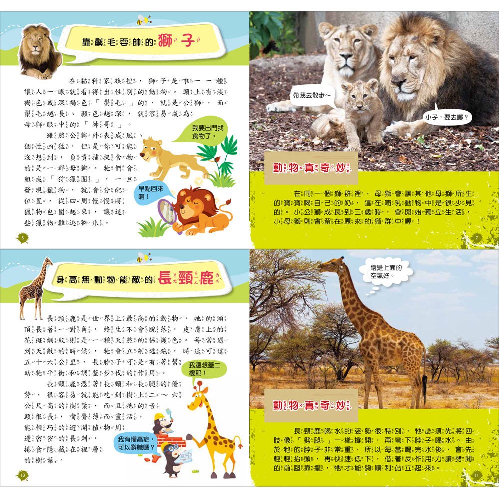 創意積木:動物世界小百科【附3款百變益智積木】