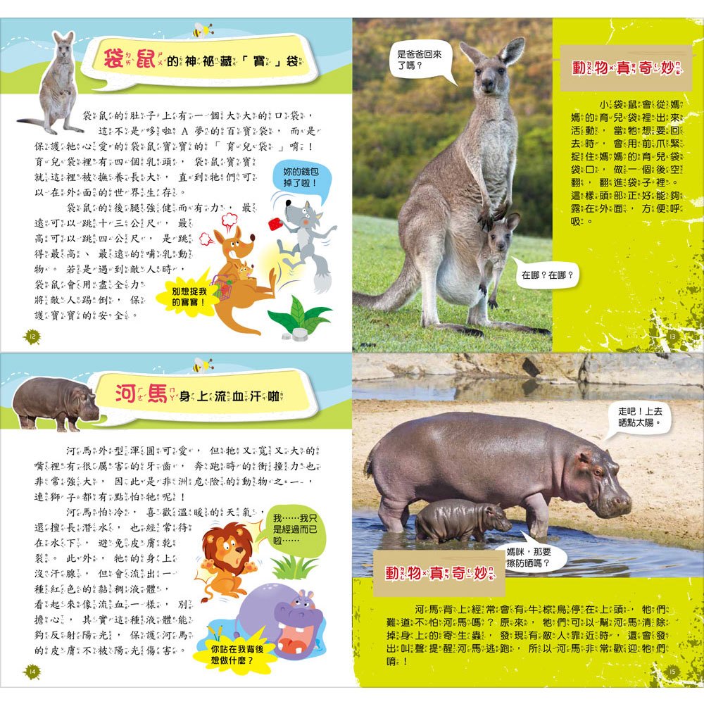 創意積木:動物世界小百科【附3款百變益智積木】