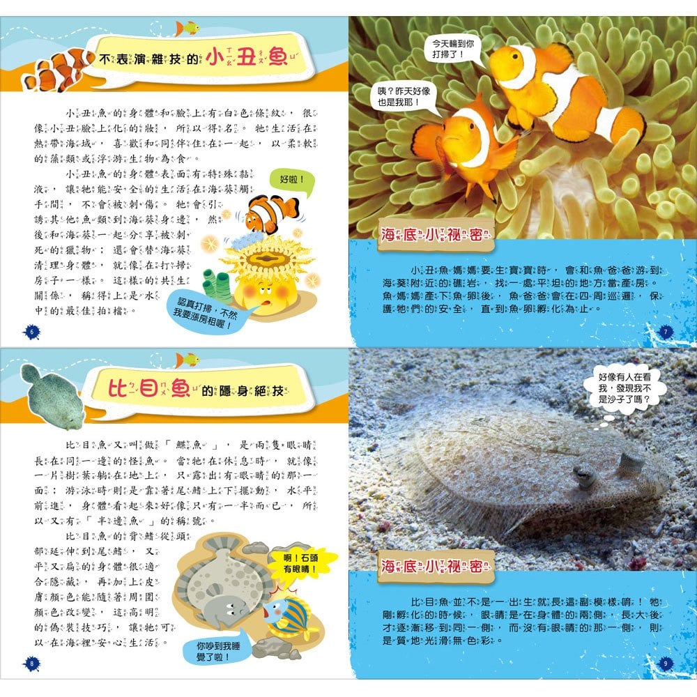 創意積木:海洋生物小百科【附3款百變益智積木】