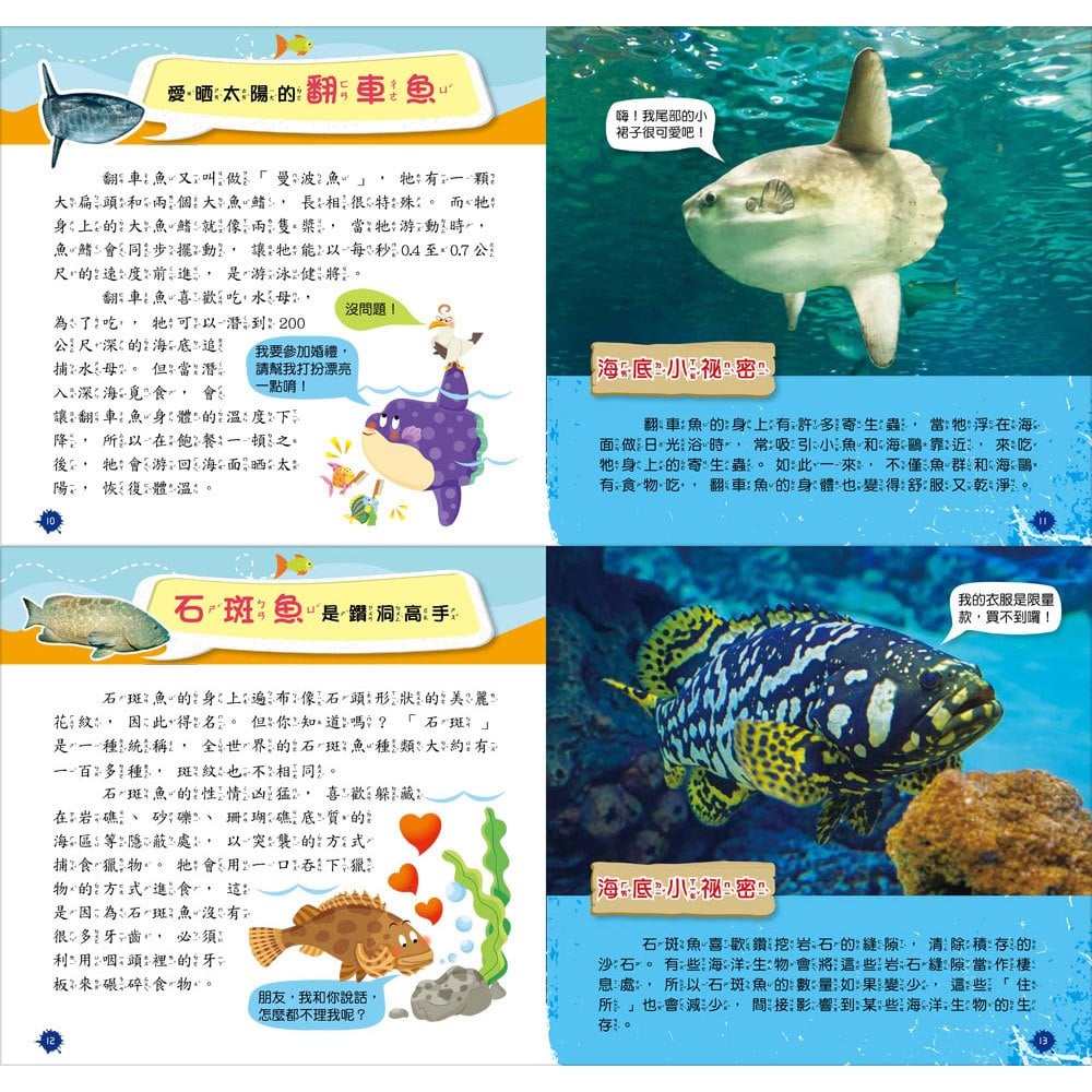 創意積木:海洋生物小百科【附3款百變益智積木】