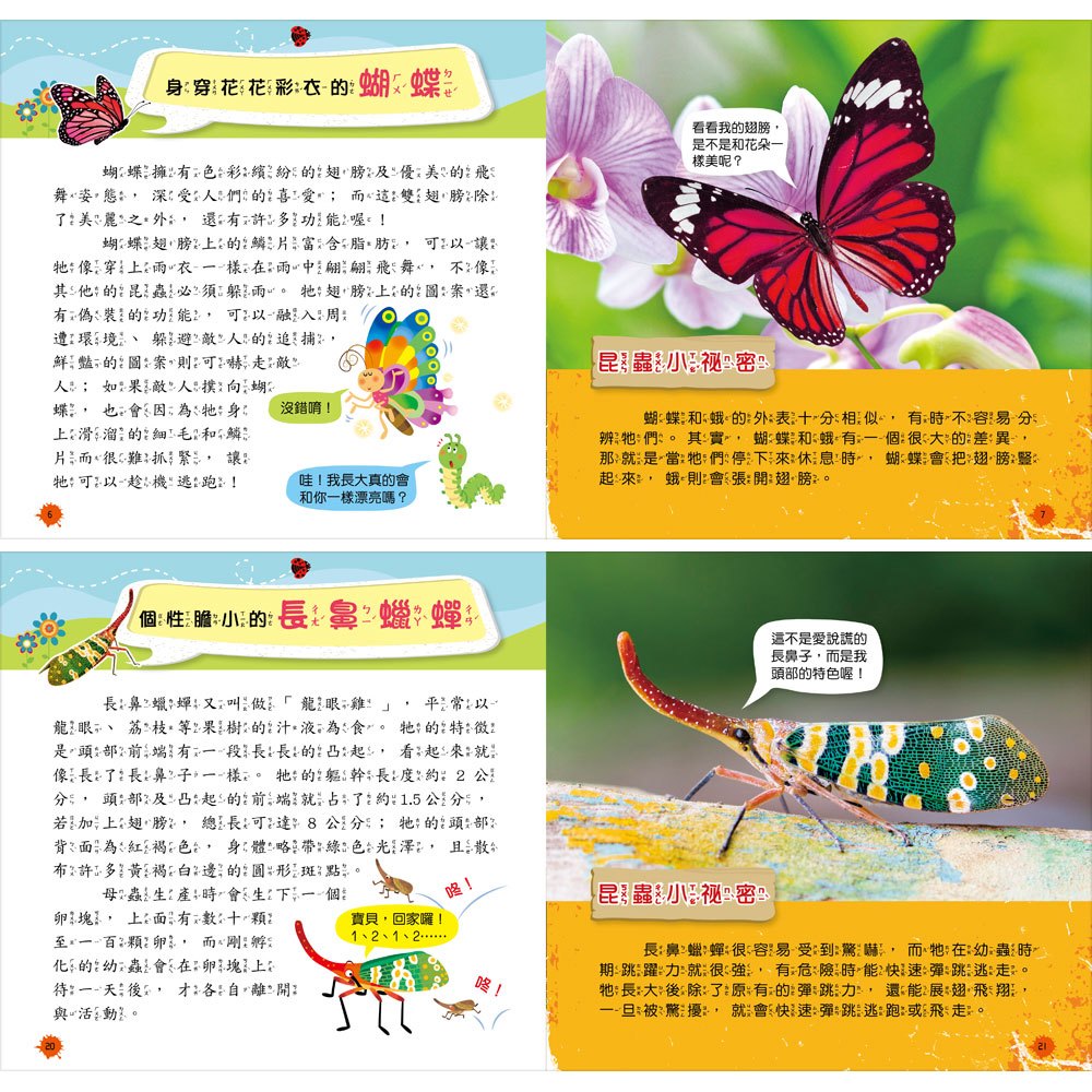 創意積木：昆蟲王國小百科【附3款百變益智積木】