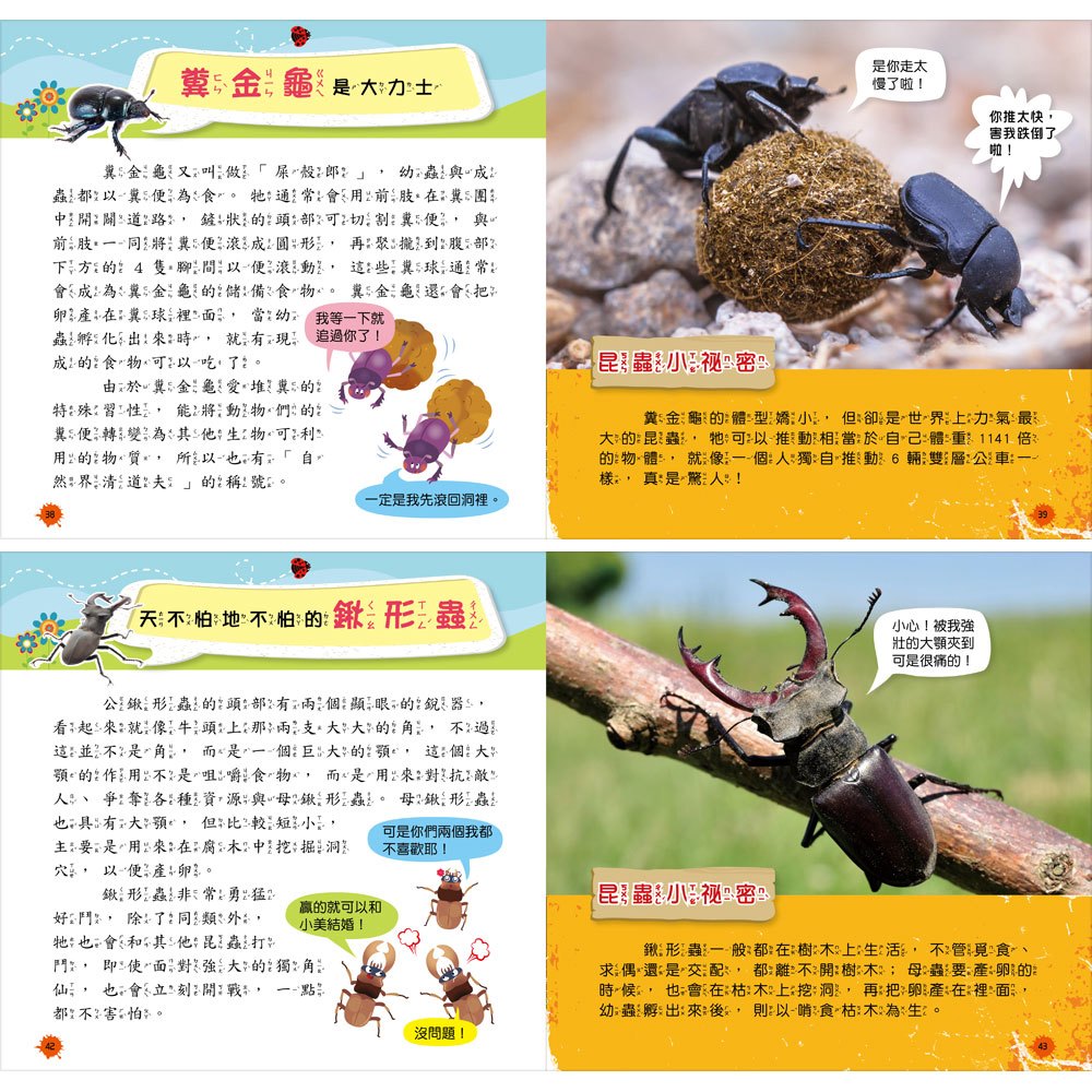 創意積木：昆蟲王國小百科【附3款百變益智積木】