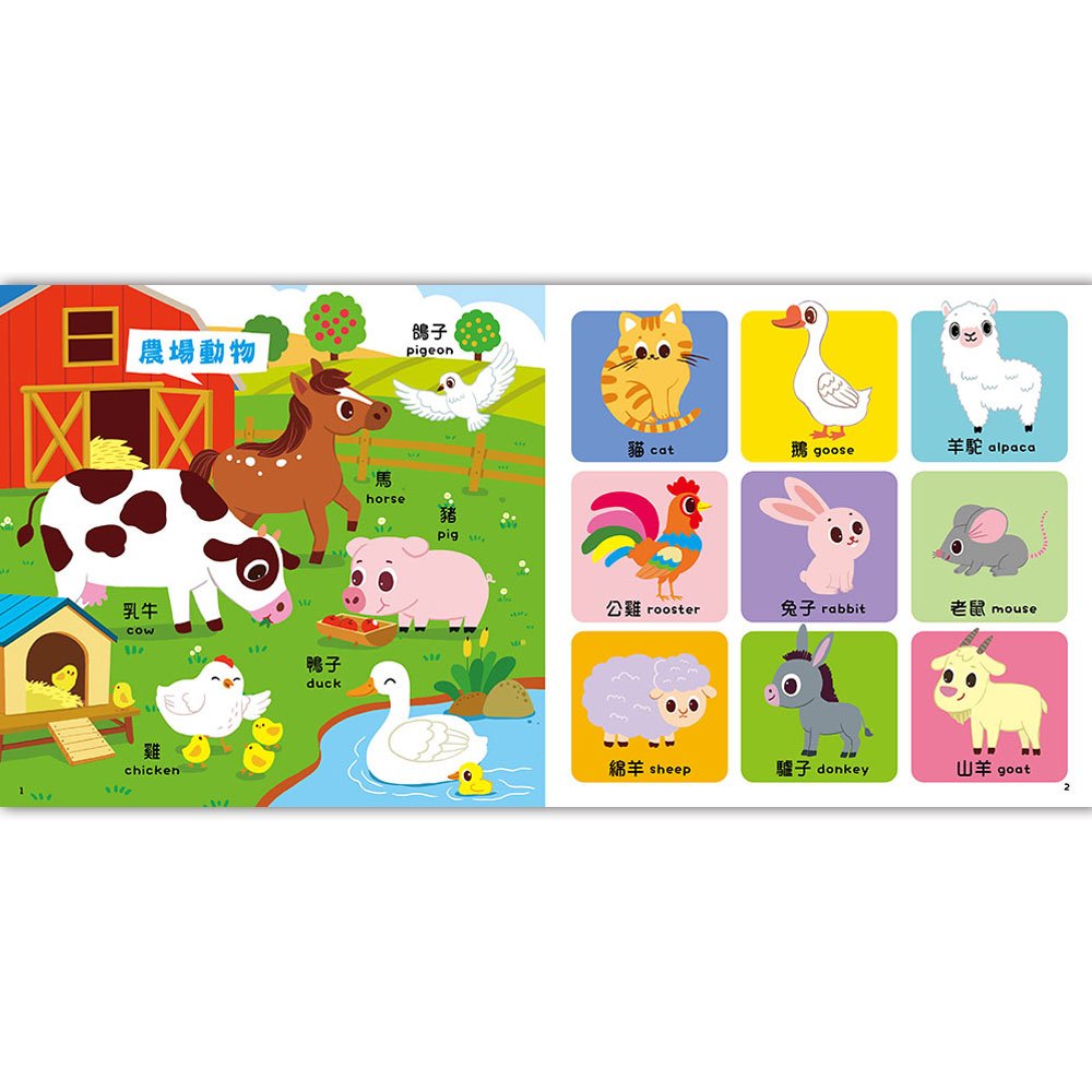 Kid's雙語認知圖畫字典組合