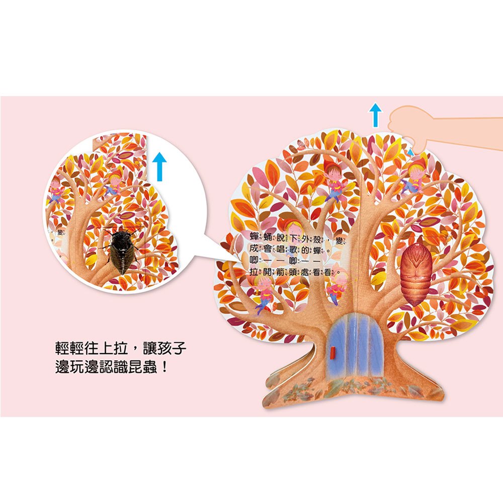 樹形書【大樹咚咚咚】