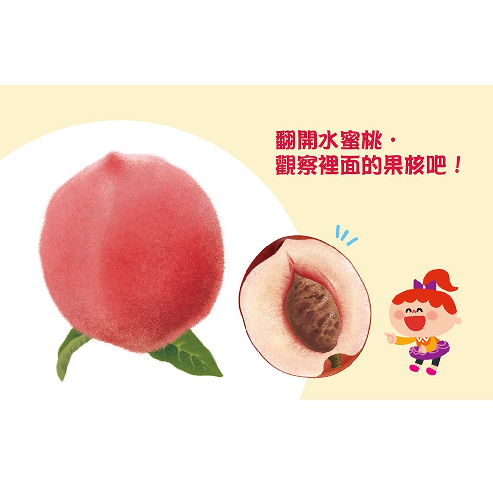 圓形書【水果家族】