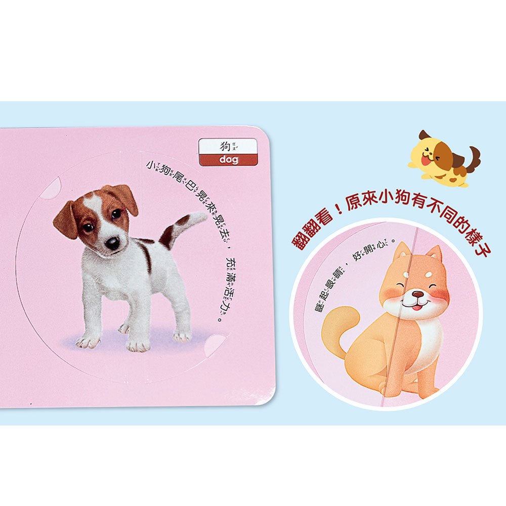 圓形書【動物星球】