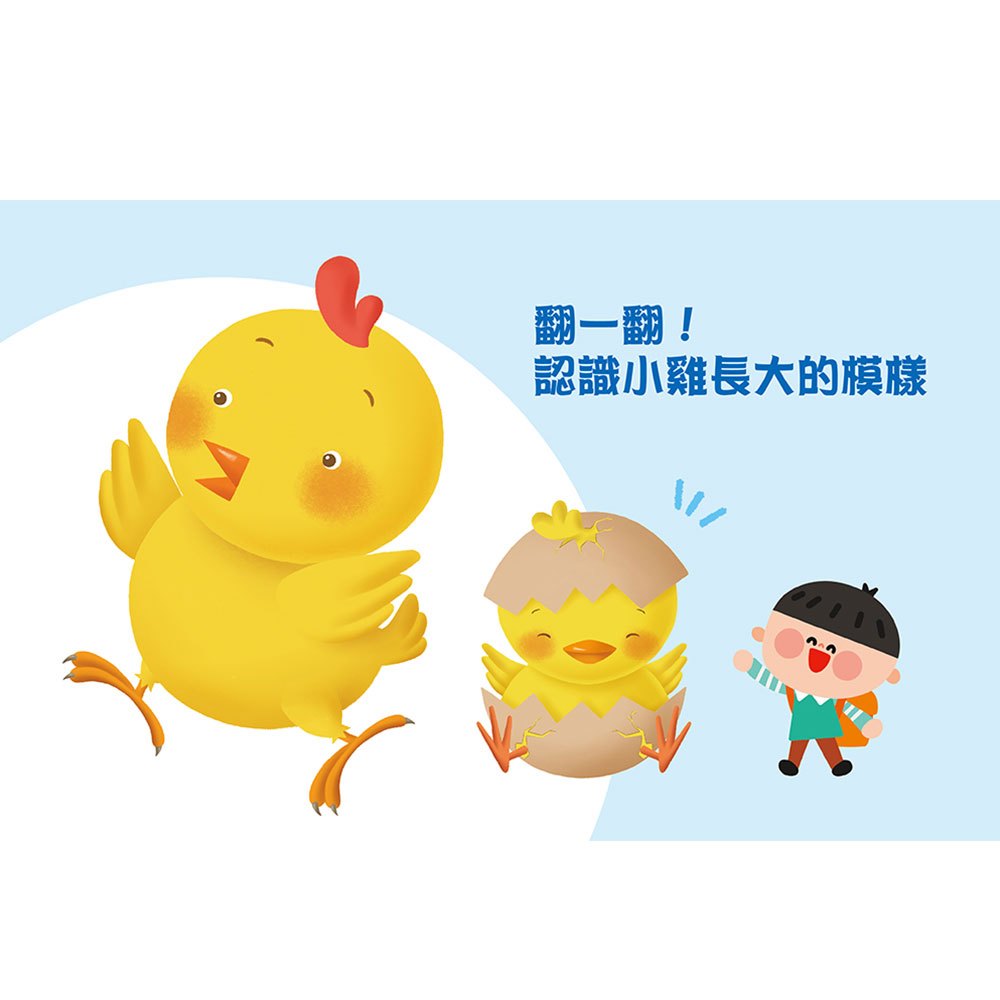 圓形書【動物星球】