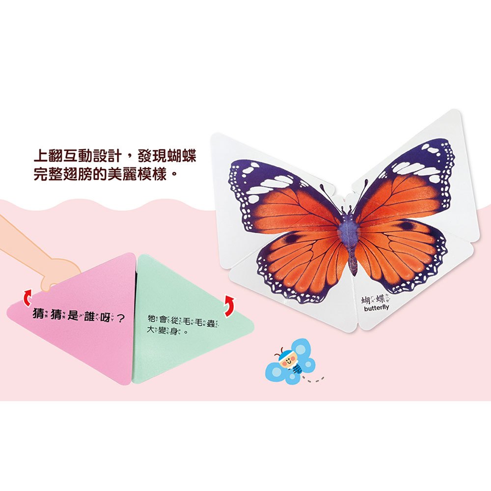 三角形書【我是誰】