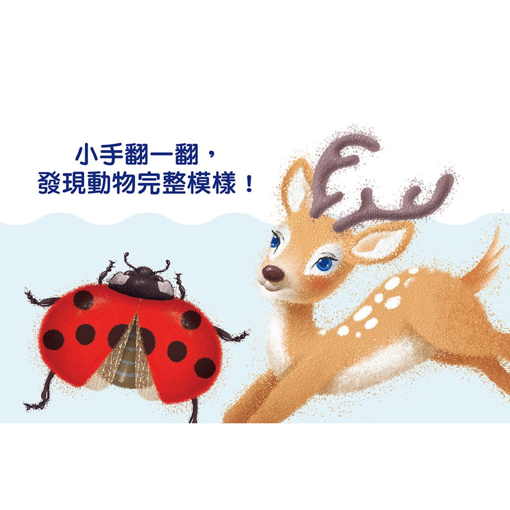 三角形書【這是誰】