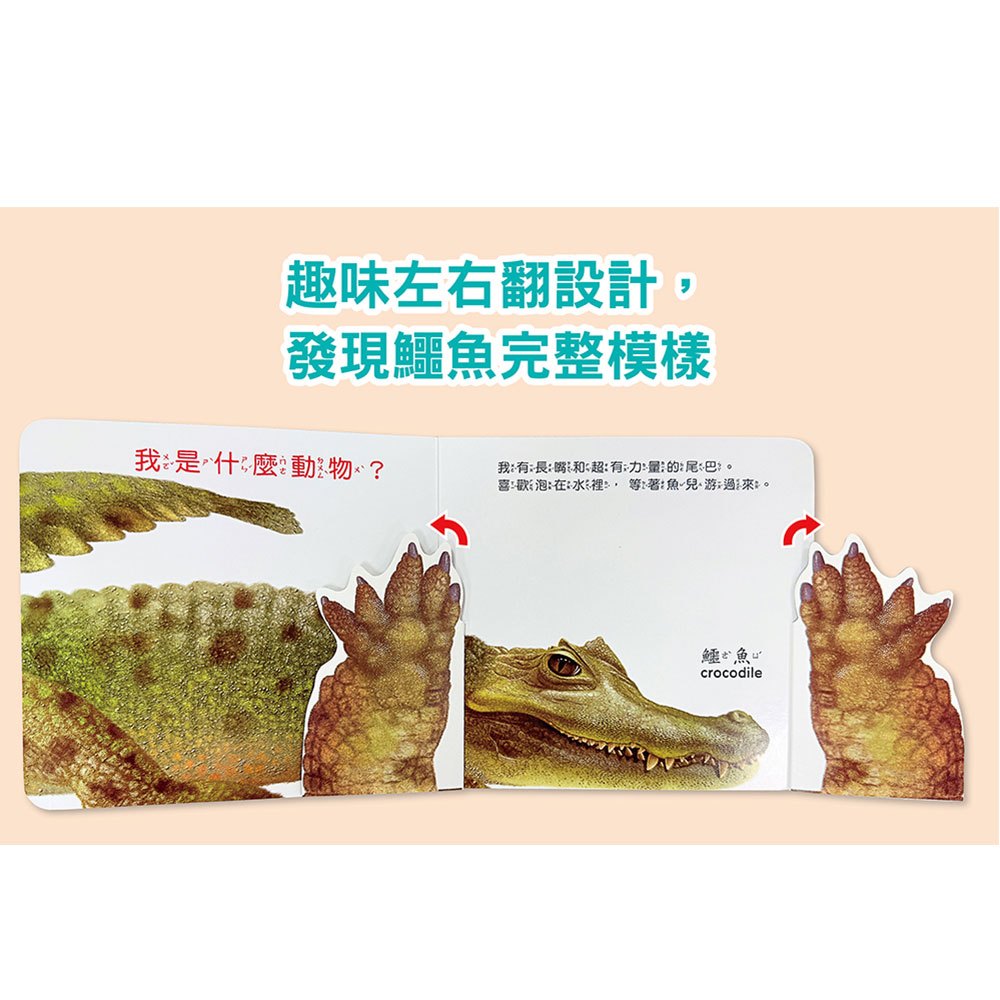 方形書【動物捉迷藏】