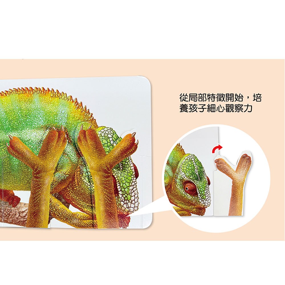 方形書【動物捉迷藏】
