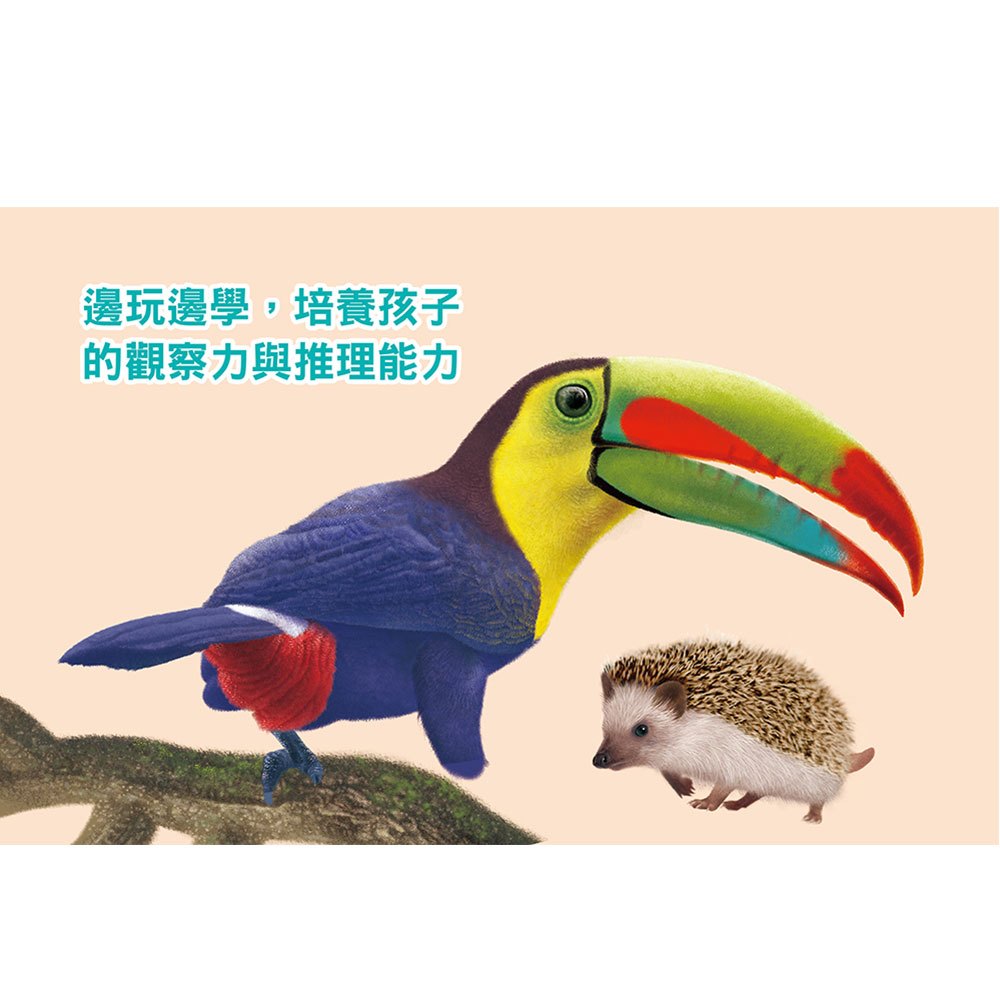 方形書【動物捉迷藏】