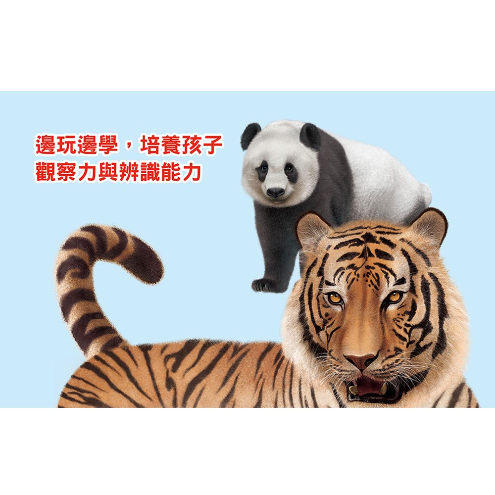 方形書【動物魔術秀】